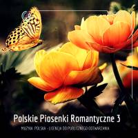Polskie Piosenki Romantyczne 03 – RADIO HIT